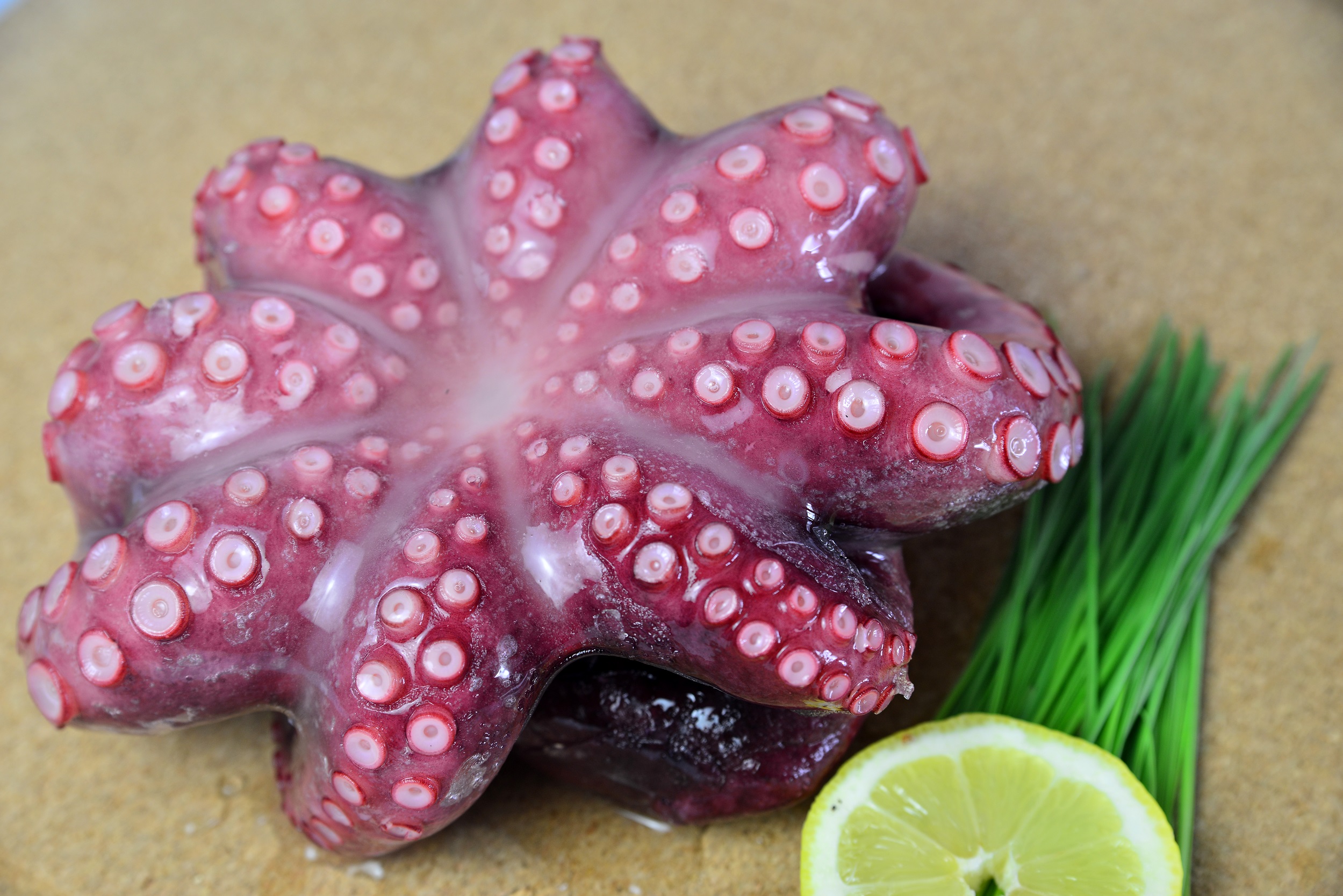 Boiled Octopus (Tako)